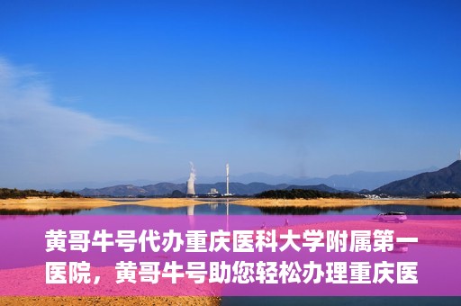黄哥牛号代办重庆医科大学附属第一医院，黄哥牛号助您轻松办理重庆医科大学附属第一医院事务。