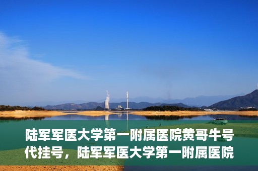 陆军军医大学第一附属医院黄哥牛号代挂号，陆军军医大学第一附属医院黄哥牛号助您轻松挂号就医