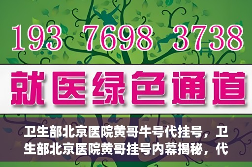 卫生部北京医院黄哥牛号代挂号，卫生部北京医院黄哥挂号内幕揭秘，代挂号背后的故事