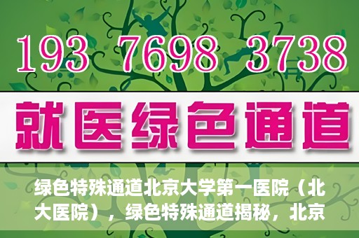 绿色特殊通道北京大学第一医院（北大医院），绿色特殊通道揭秘，北京大学第一医院（北大医院）的医学探索之旅