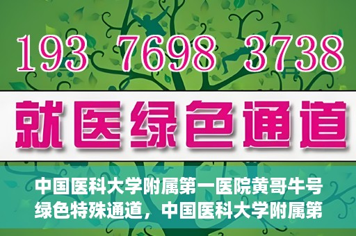 中国医科大学附属第一医院黄哥牛号绿色特殊通道，中国医科大学附属第一医院黄哥牛号，绿色特殊通道的开启与探索