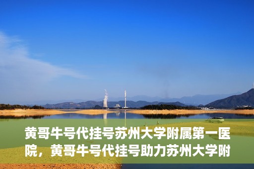 黄哥牛号代挂号苏州大学附属第一医院，黄哥牛号代挂号助力苏州大学附属第一医院预约就医服务