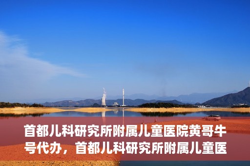 首都儿科研究所附属儿童医院黄哥牛号代办，首都儿科研究所附属儿童医院黄哥牛号业务代办全解析
