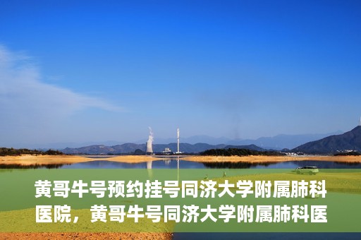 黄哥牛号预约挂号同济大学附属肺科医院，黄哥牛号同济大学附属肺科医院预约挂号攻略