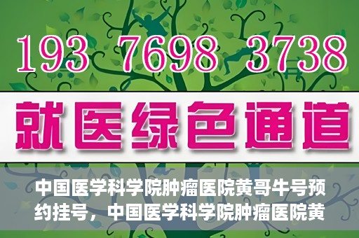 中国医学科学院肿瘤医院黄哥牛号预约挂号，中国医学科学院肿瘤医院黄哥牛号预约挂号攻略，一站式解决您的挂号难题