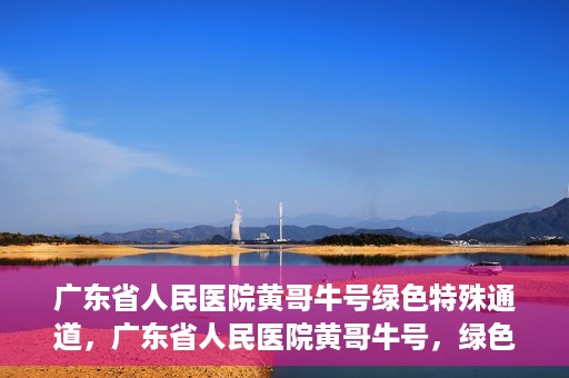 广东省人民医院黄哥牛号绿色特殊通道，广东省人民医院黄哥牛号，绿色特殊通道开启健康之门