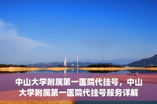 中山大学附属第一医院代挂号，中山大学附属第一医院代挂号服务详解