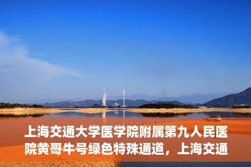 上海交通大学医学院附属第九人民医院黄哥牛号绿色特殊通道，上海交通大学医学院附属第九人民医院黄哥牛号，绿色特殊通道开启健康之门