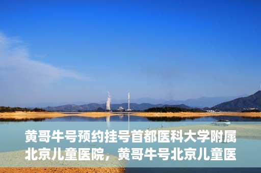黄哥牛号预约挂号首都医科大学附属北京儿童医院，黄哥牛号北京儿童医院预约挂号攻略，轻松挂号首都医科大学附属北京儿童医院