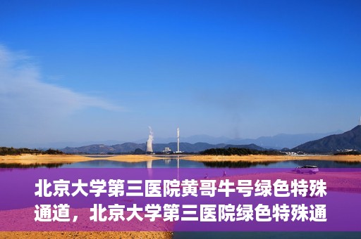 北京大学第三医院黄哥牛号绿色特殊通道，北京大学第三医院绿色特殊通道，黄哥牛号的探索与实践
