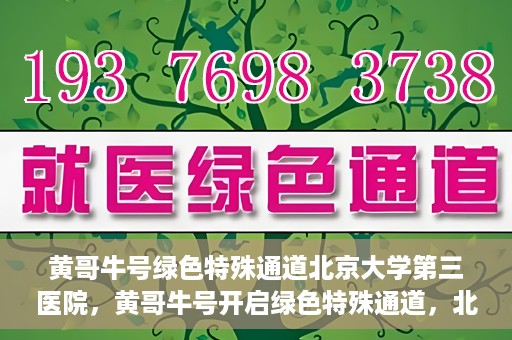 黄哥牛号绿色特殊通道北京大学第三医院，黄哥牛号开启绿色特殊通道，北京大学第三医院助力健康新篇章