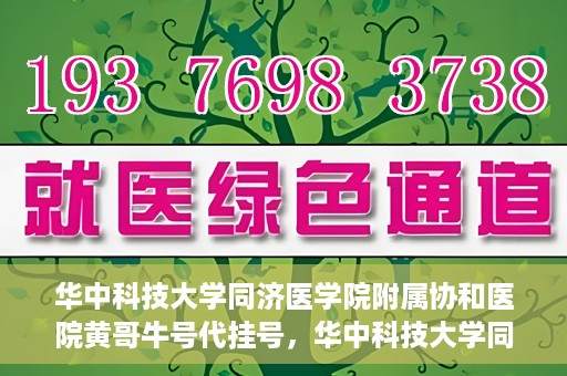 华中科技大学同济医学院附属协和医院黄哥牛号代挂号，华中科技大学同济医学院附属协和医院黄哥牛号代挂号服务详解