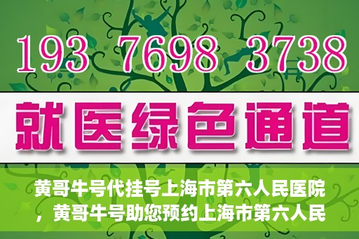 黄哥牛号代挂号上海市第六人民医院，黄哥牛号助您预约上海市第六人民医院挂号服务