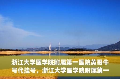 浙江大学医学院附属第一医院黄哥牛号代挂号，浙江大学医学院附属第一医院黄哥牛号代挂号服务解析