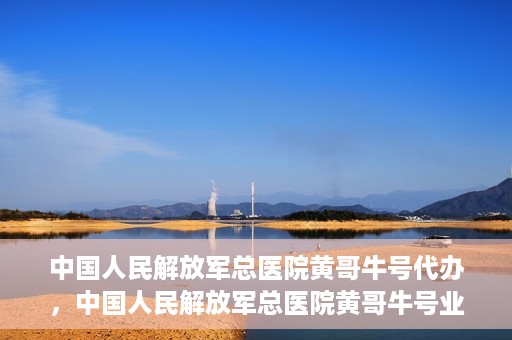 中国人民解放军总医院黄哥牛号代办，中国人民解放军总医院黄哥牛号业务代办揭秘