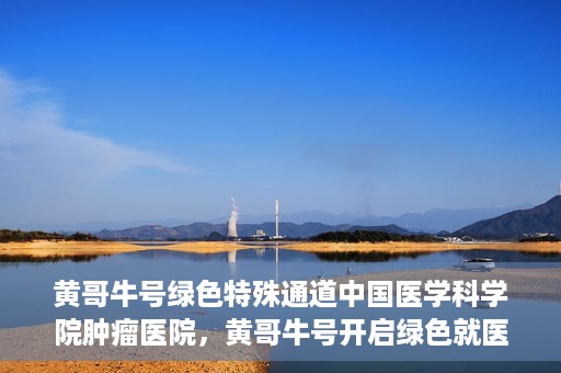 黄哥牛号绿色特殊通道中国医学科学院肿瘤医院，黄哥牛号开启绿色就医通道，中国医学科学院肿瘤医院专注诊疗新篇章