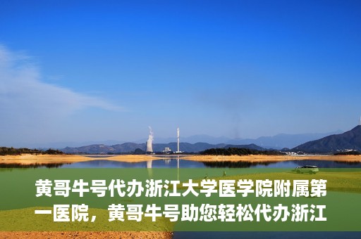 黄哥牛号代办浙江大学医学院附属第一医院，黄哥牛号助您轻松代办浙江大学医学院附属第一医院业务手续