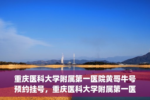 重庆医科大学附属第一医院黄哥牛号预约挂号，重庆医科大学附属第一医院黄哥牛号预约挂号攻略