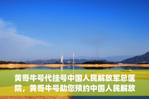 黄哥牛号代挂号中国人民解放军总医院，黄哥牛号助您预约中国人民解放军总医院专家号