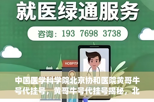 中国医学科学院北京协和医院黄哥牛号代挂号，黄哥牛号代挂号揭秘，北京协和医院挂号背后的故事