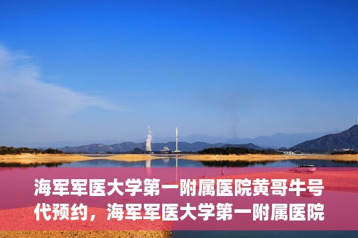 海军军医大学第一附属医院黄哥牛号代预约，海军军医大学第一附属医院黄哥预约挂号新动向，便捷代预约服务
