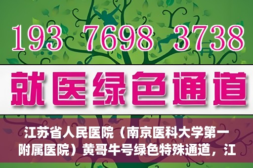 江苏省人民医院（南京医科大学第一附属医院）黄哥牛号绿色特殊通道，江苏省人民医院绿色特殊通道，黄哥牛号的医疗速度与温情服务