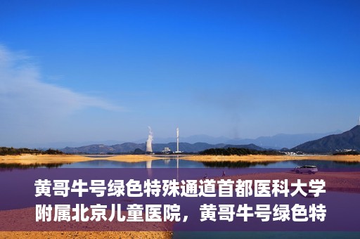 黄哥牛号绿色特殊通道首都医科大学附属北京儿童医院，黄哥牛号绿色特殊通道，北京儿童医院创新实践之路