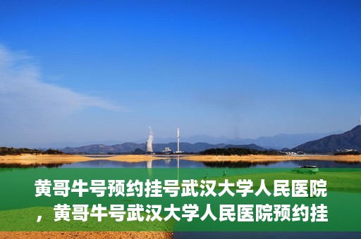 黄哥牛号预约挂号武汉大学人民医院，黄哥牛号武汉大学人民医院预约挂号攻略