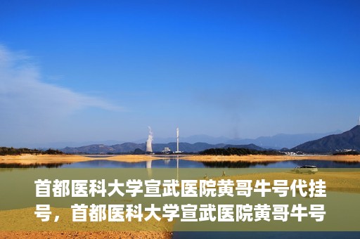 首都医科大学宣武医院黄哥牛号代挂号，首都医科大学宣武医院黄哥牛号助您轻松预约挂号