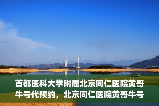 首都医科大学附属北京同仁医院黄哥牛号代预约，北京同仁医院黄哥牛号预约服务解析