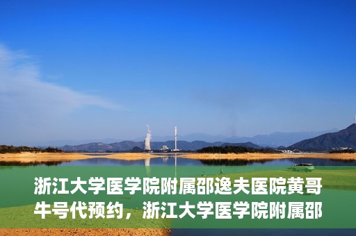 浙江大学医学院附属邵逸夫医院黄哥牛号代预约，浙江大学医学院附属邵逸夫医院黄哥牛号预约服务解析
