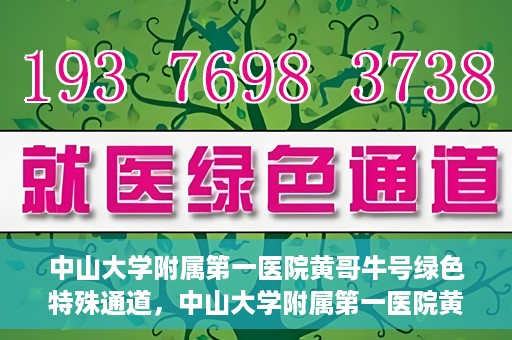 中山大学附属第一医院黄哥牛号绿色特殊通道，中山大学附属第一医院黄哥牛号，绿色特殊通道开启健康之门