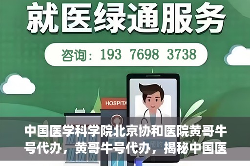 中国医学科学院北京协和医院黄哥牛号代办，黄哥牛号代办，揭秘中国医学科学院北京协和医院背后的故事