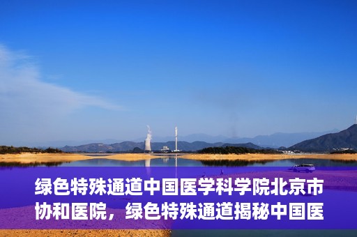 绿色特殊通道中国医学科学院北京市协和医院，绿色特殊通道揭秘中国医学科学院北京市协和医院的力量与担当