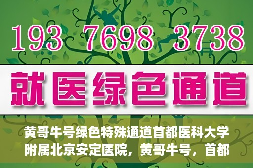 黄哥牛号绿色特殊通道首都医科大学附属北京安定医院，黄哥牛号，首都医科大学附属北京安定医院的绿色特殊通道揭秘