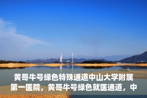 黄哥牛号绿色特殊通道中山大学附属第一医院，黄哥牛号绿色就医通道，中山大学附属第一医院的实践探索