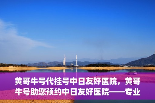 黄哥牛号代挂号中日友好医院，黄哥牛号助您预约中日友好医院——专业代挂号服务