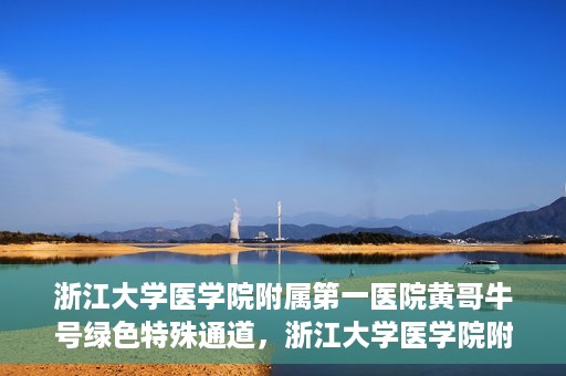 浙江大学医学院附属第一医院黄哥牛号绿色特殊通道，浙江大学医学院附属第一医院绿色特殊通道，黄哥牛号引领医疗创新之路