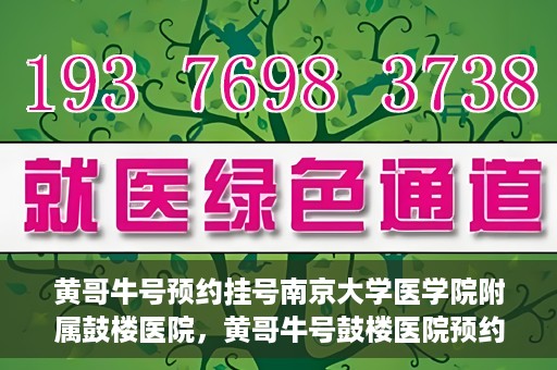黄哥牛号预约挂号南京大学医学院附属鼓楼医院，黄哥牛号鼓楼医院预约挂号启动，便捷就医新体验