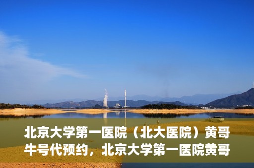 北京大学第一医院（北大医院）黄哥牛号代预约，北京大学第一医院黄哥牛号预约服务解析