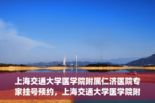 上海交通大学医学院附属仁济医院专家挂号预约，上海交通大学医学院附属仁济医院专家挂号预约攻略与指南