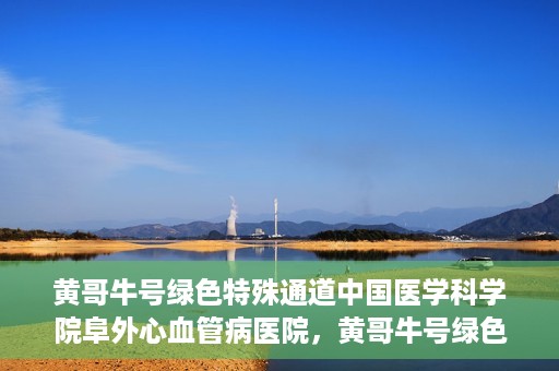 黄哥牛号绿色特殊通道中国医学科学院阜外心血管病医院，黄哥牛号绿色就医通道，中国医学科学院阜外心血管病医院的探索与实践
