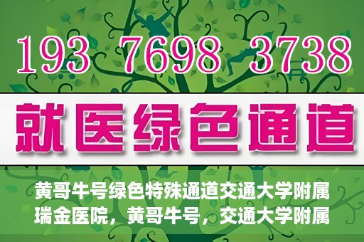 黄哥牛号绿色特殊通道交通大学附属瑞金医院，黄哥牛号，交通大学附属瑞金医院的绿色特殊通道揭秘
