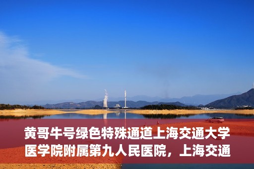 黄哥牛号绿色特殊通道上海交通大学医学院附属第九人民医院，上海交通大学医学院附属第九人民医院开通绿色特殊通道——黄哥牛号服务新篇章