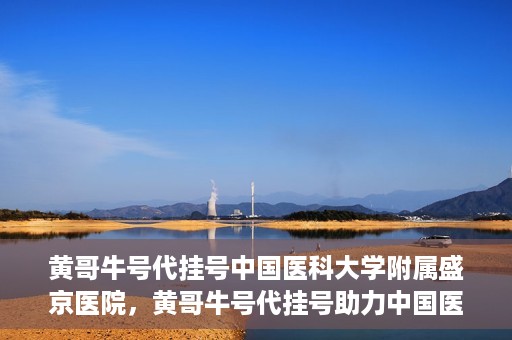 黄哥牛号代挂号中国医科大学附属盛京医院，黄哥牛号代挂号助力中国医科大学附属盛京医院就医便捷化