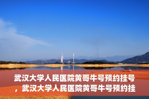 武汉大学人民医院黄哥牛号预约挂号，武汉大学人民医院黄哥牛号预约挂号攻略解析