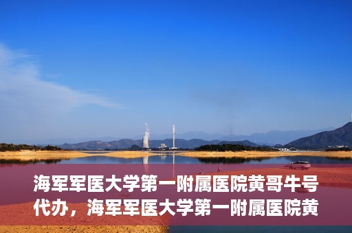 海军军医大学第一附属医院黄哥牛号代办，海军军医大学第一附属医院黄哥牛号代办，揭秘背后的故事