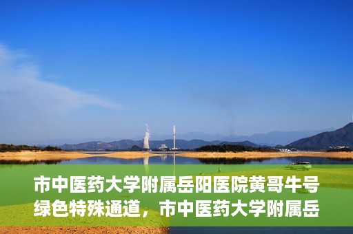 市中医药大学附属岳阳医院黄哥牛号绿色特殊通道，市中医药大学附属岳阳医院黄哥牛号，绿色特殊通道开启健康之门