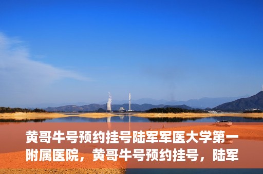黄哥牛号预约挂号陆军军医大学第一附属医院，黄哥牛号预约挂号，陆军军医大学第一附属医院就医新体验