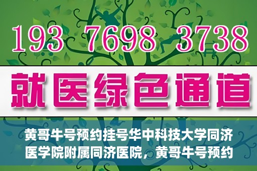 黄哥牛号预约挂号华中科技大学同济医学院附属同济医院，黄哥牛号预约挂号服务，华中科技大学同济医学院附属同济医院便捷就医新体验